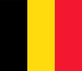 Bild på Gästflagga Belgien 30x20cm