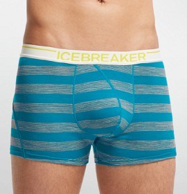 Bild på Icebreaker M´s Anatomica Boxer