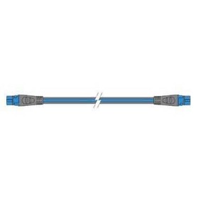 Bild på Raymarine STNG Backbone Cable 0,4m